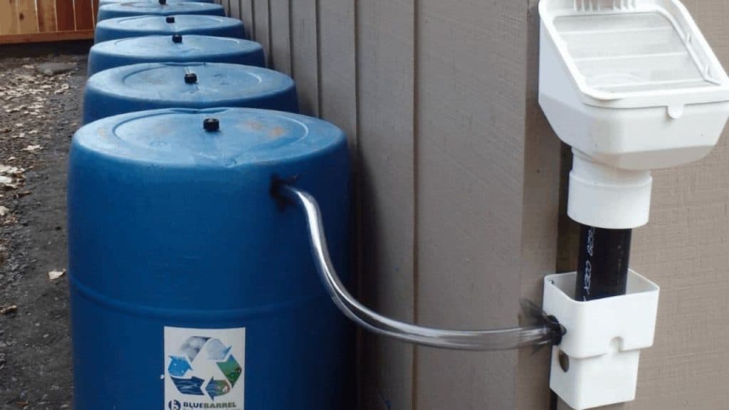 Turning Rainwater Into Drinking Water 3 Ways To Do It